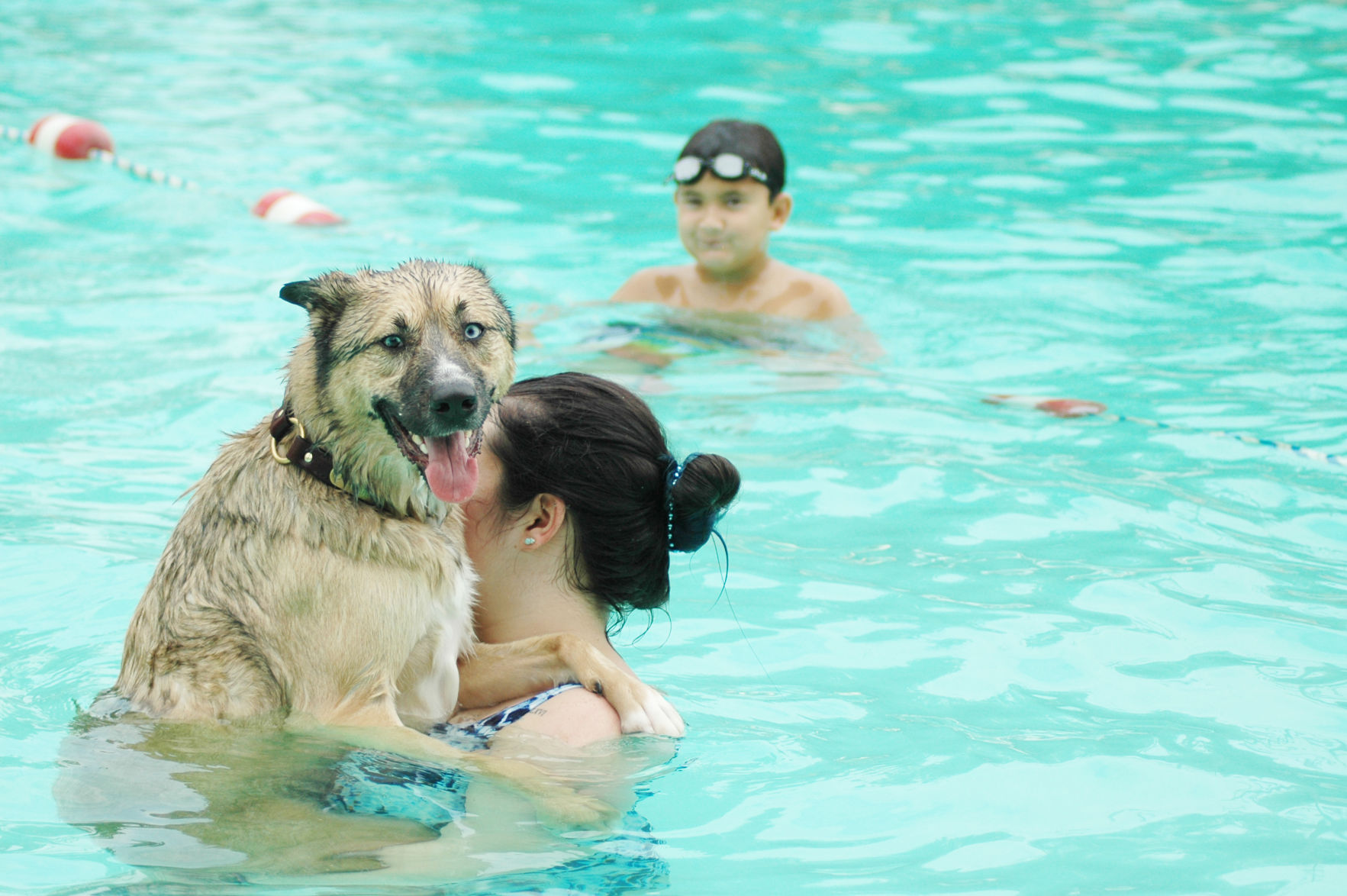 DOG 2.jpg